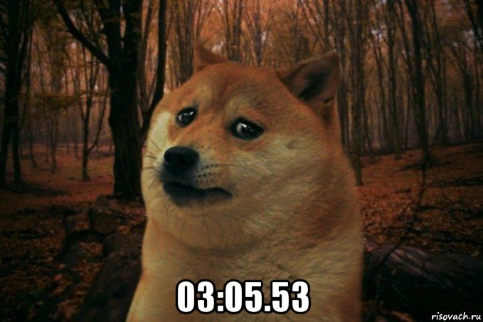  03:05.53, Мем SAD DOGE