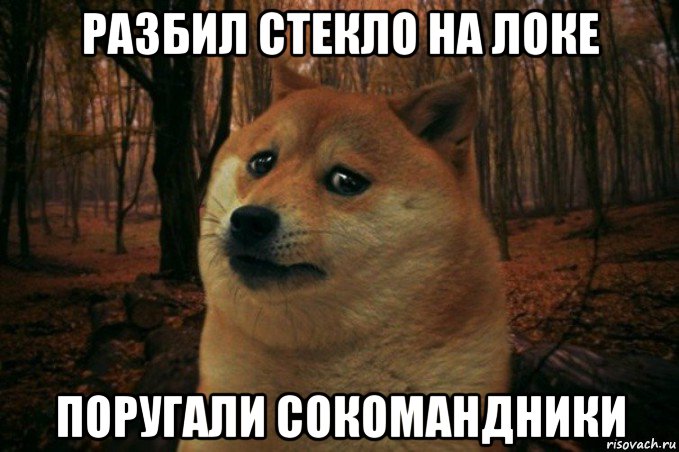 разбил стекло на локе поругали сокомандники, Мем SAD DOGE