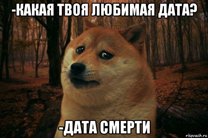 -какая твоя любимая дата? -дата смерти, Мем SAD DOGE