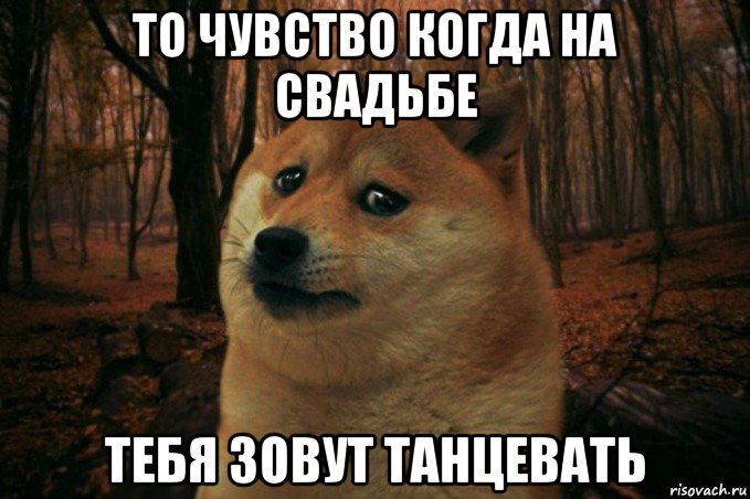 то чувство когда на свадьбе тебя зовут танцевать, Мем SAD DOGE