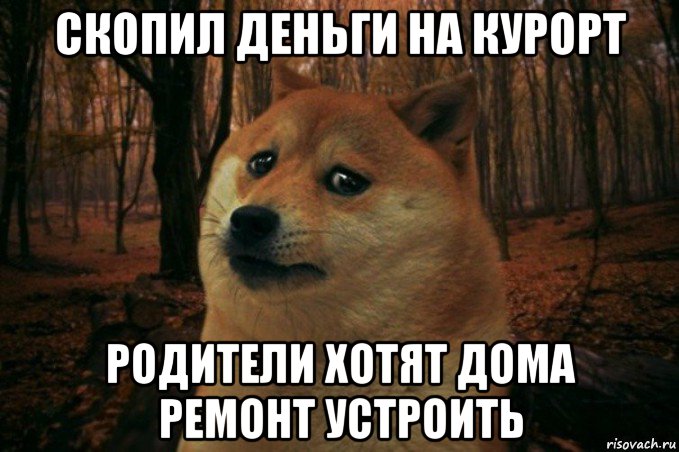 скопил деньги на курорт родители хотят дома ремонт устроить, Мем SAD DOGE