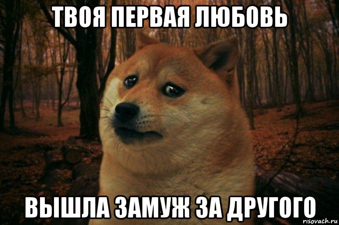 твоя первая любовь вышла замуж за другого, Мем SAD DOGE