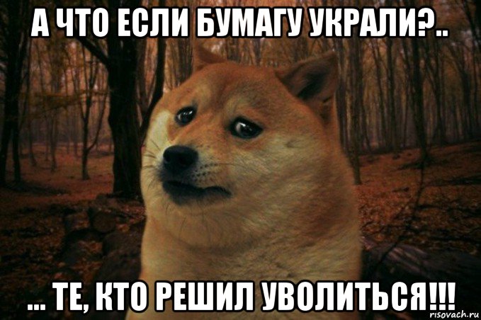 а что если бумагу украли?.. ... те, кто решил уволиться!!!, Мем SAD DOGE