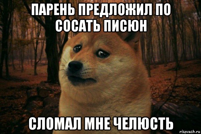 парень предложил по сосать писюн сломал мне челюсть, Мем SAD DOGE