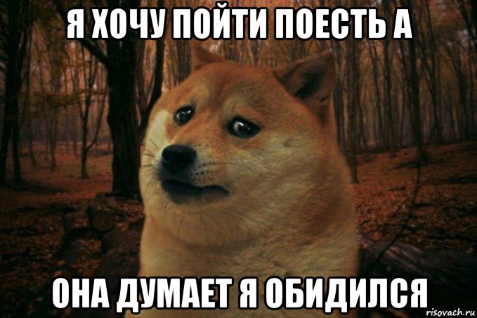 я хочу пойти поесть а она думает я обидился, Мем SAD DOGE