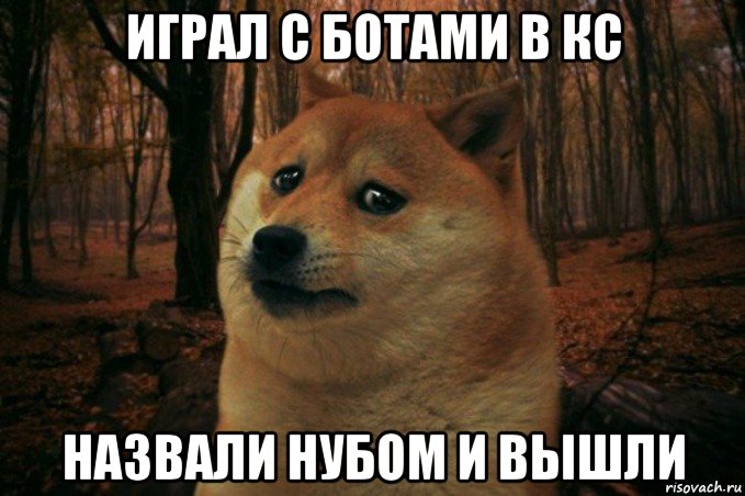 играл с ботами в кс назвали нубом и вышли, Мем SAD DOGE