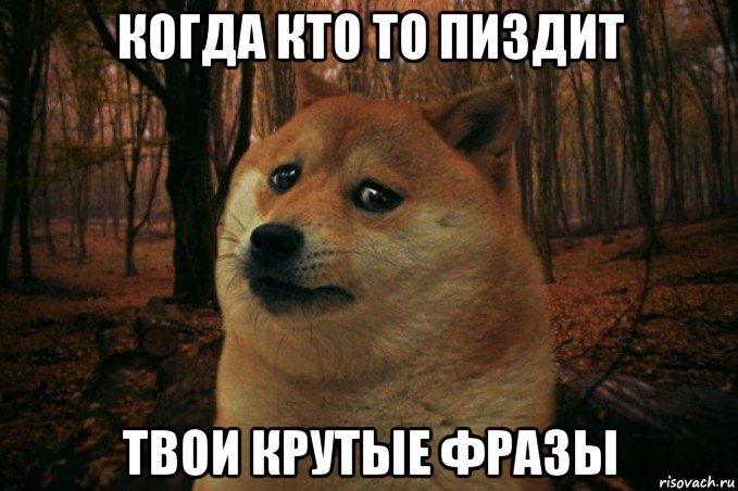 когда кто то пиздит твои крутые фразы, Мем SAD DOGE