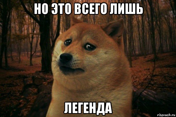 но это всего лишь легенда, Мем SAD DOGE