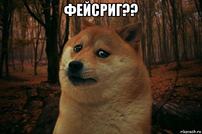 фейсриг?? , Мем SAD DOGE