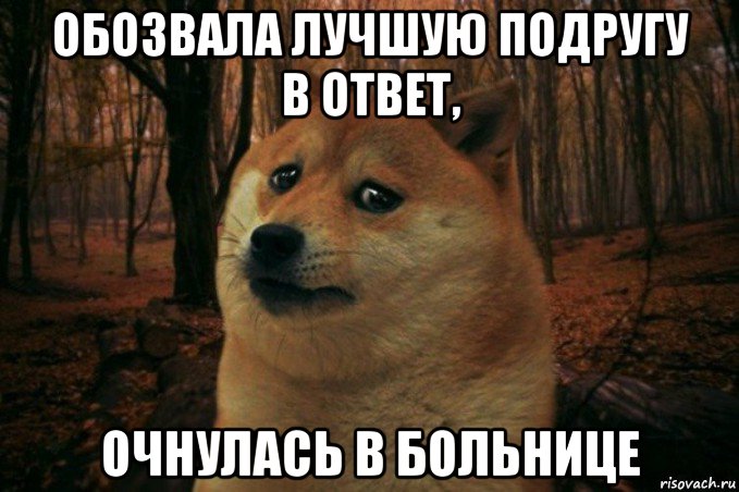 обозвала лучшую подругу в ответ, очнулась в больнице, Мем SAD DOGE