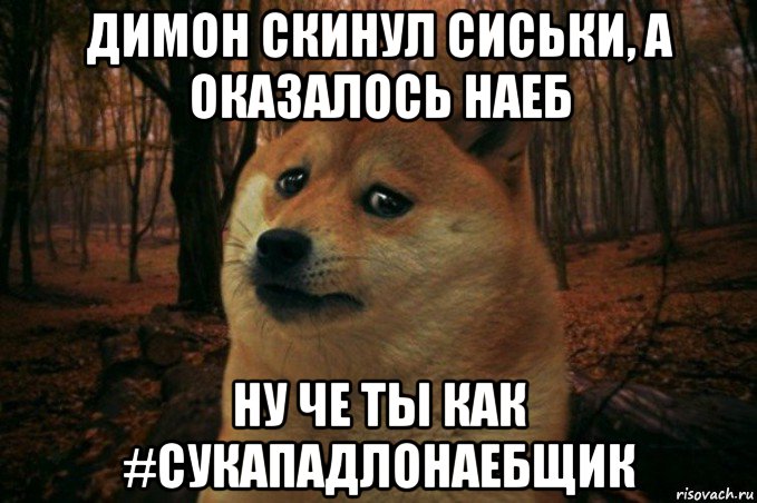 димон скинул сиськи, а оказалось наеб ну че ты как #сукападлонаебщик, Мем SAD DOGE