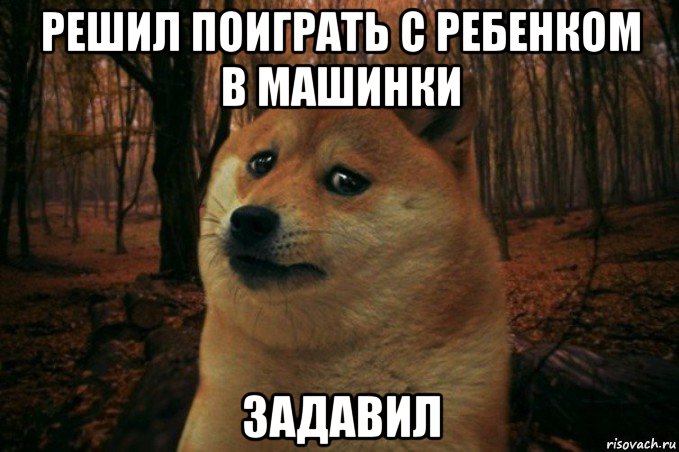 решил поиграть с ребенком в машинки задавил, Мем SAD DOGE