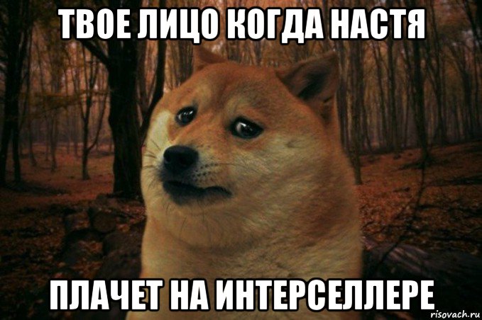 твое лицо когда настя плачет на интерселлере, Мем SAD DOGE