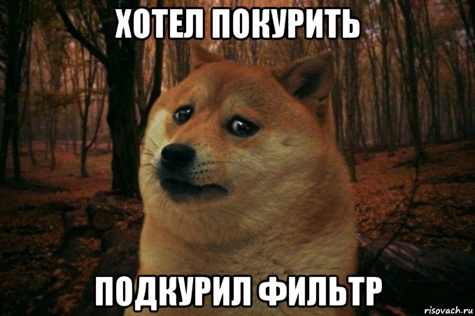 хотел покурить подкурил фильтр, Мем SAD DOGE