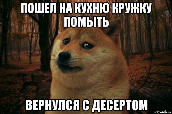 пошел на кухню кружку помыть вернулся с десертом, Мем SAD DOGE