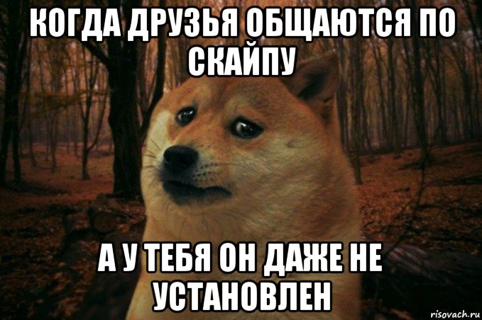 когда друзья общаются по скайпу а у тебя он даже не установлен, Мем SAD DOGE