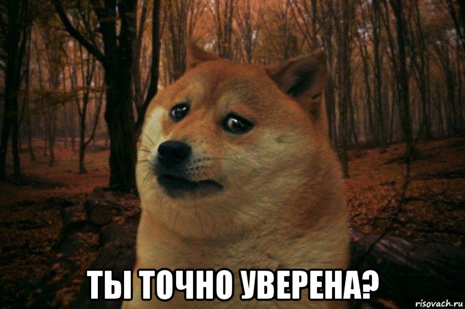  ты точно уверена?, Мем SAD DOGE