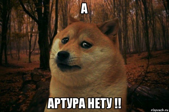 а артура нету !!, Мем SAD DOGE