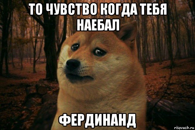 то чувство когда тебя наебал фердинанд, Мем SAD DOGE