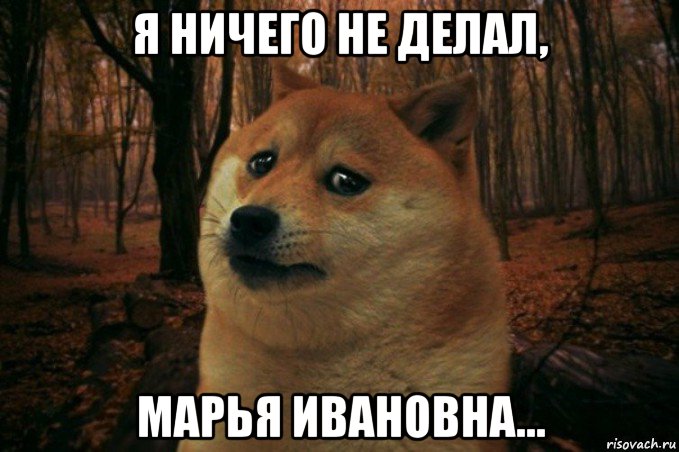 я ничего не делал, марья ивановна..., Мем SAD DOGE