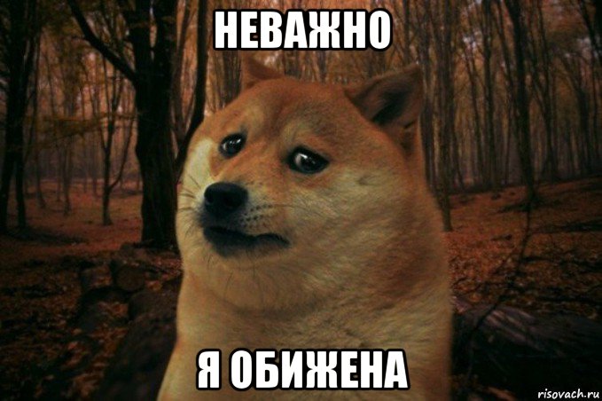 неважно я обижена, Мем SAD DOGE