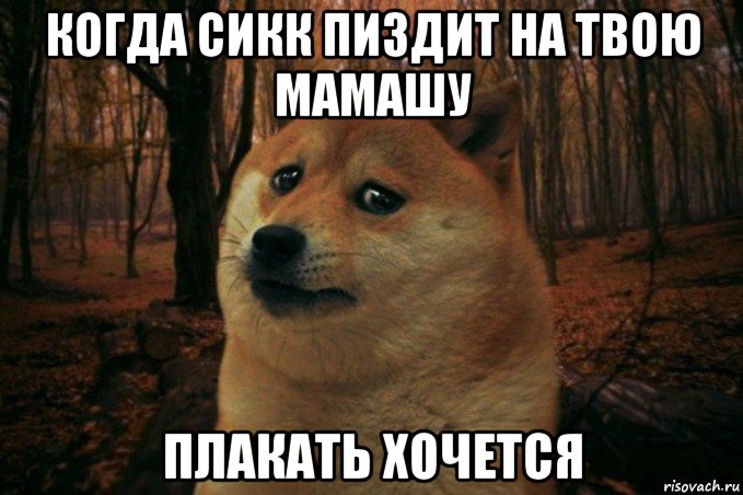 когда сикк пиздит на твою мамашу плакать хочется, Мем SAD DOGE