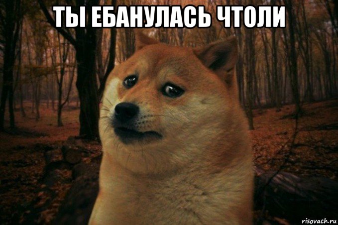 ты ебанулась чтоли , Мем SAD DOGE