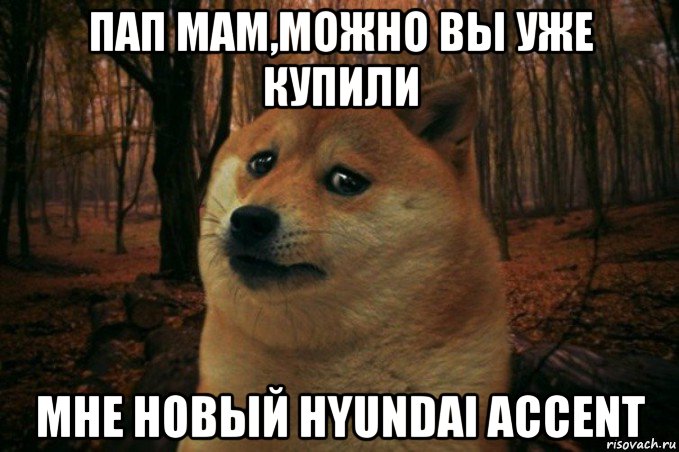 пап мам,можно вы уже купили мне новый hyundai accent, Мем SAD DOGE