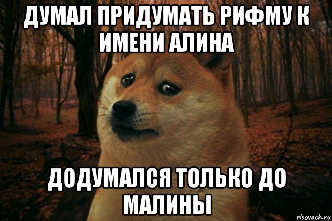 думал придумать рифму к имени алина додумался только до малины, Мем SAD DOGE