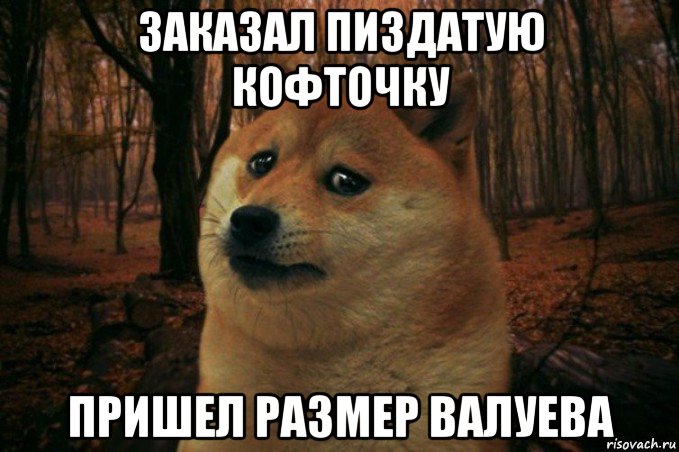 заказал пиздатую кофточку пришел размер валуева, Мем SAD DOGE