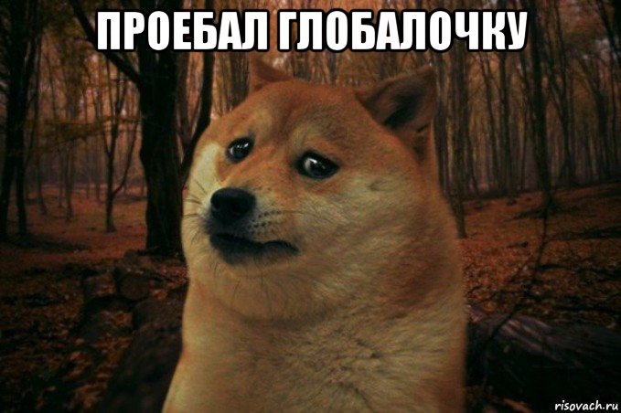 проебал глобалочку , Мем SAD DOGE