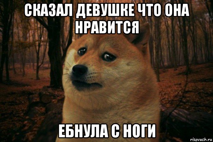 сказал девушке что она нравится ебнула с ноги, Мем SAD DOGE