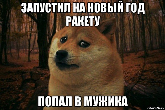 запустил на новый год ракету попал в мужика, Мем SAD DOGE