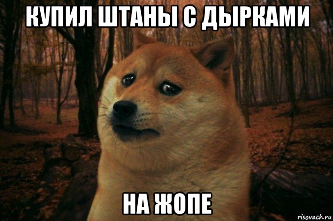 купил штаны с дырками на жопе, Мем SAD DOGE