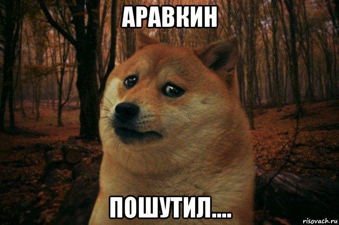 аравкин пошутил...., Мем SAD DOGE