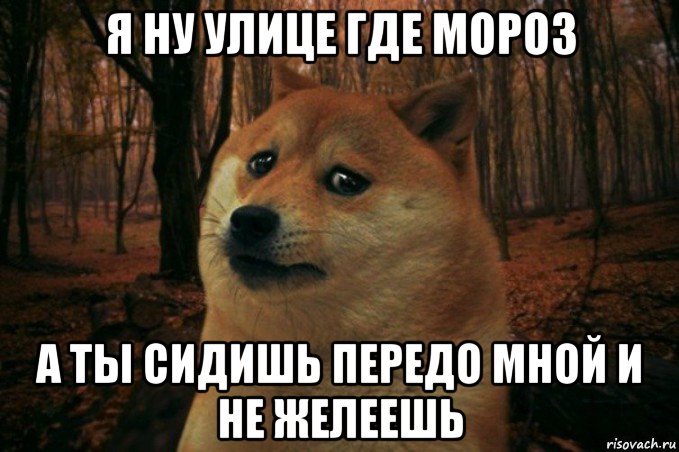 я ну улице где мороз а ты сидишь передо мной и не желеешь, Мем SAD DOGE