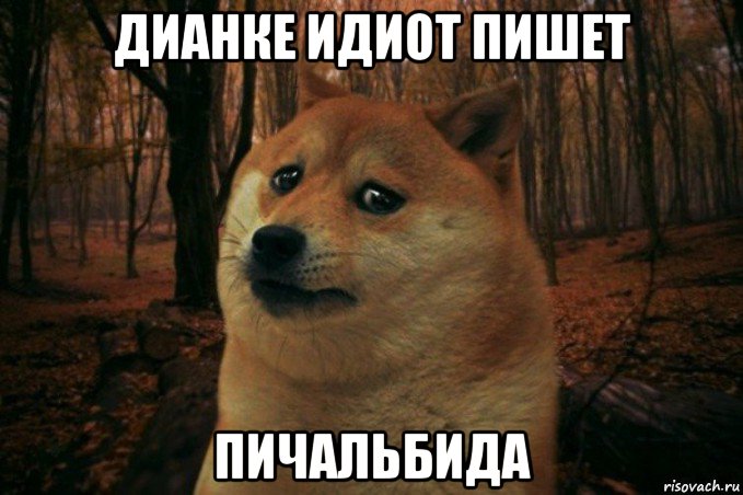 дианке идиот пишет пичальбида, Мем SAD DOGE