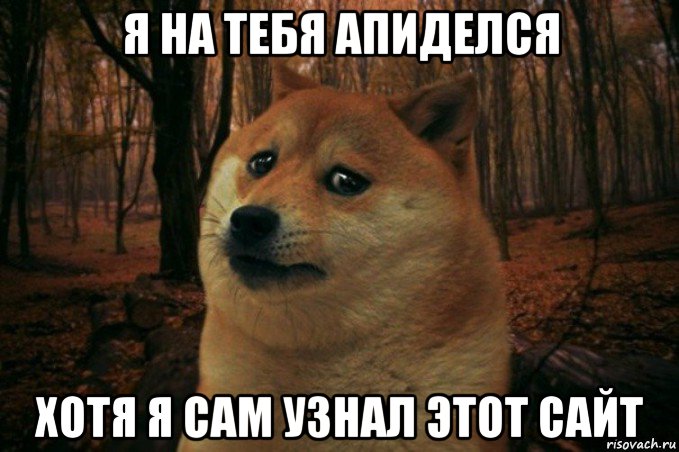 я на тебя апиделся хотя я сам узнал этот сайт, Мем SAD DOGE