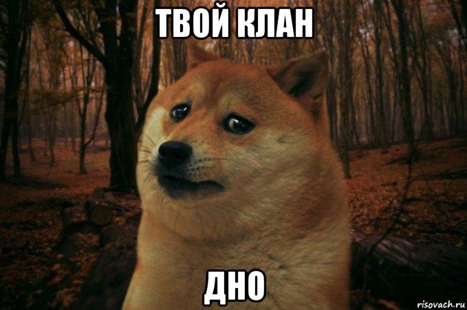 твой клан дно, Мем SAD DOGE