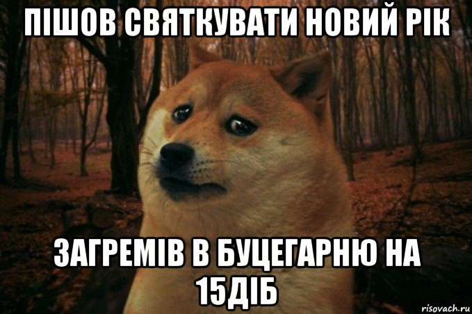 пішов святкувати новий рік загремів в буцегарню на 15діб, Мем SAD DOGE