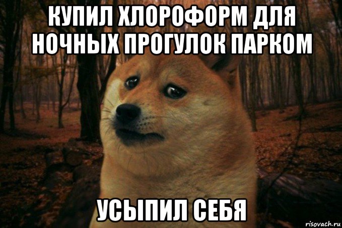 купил хлороформ для ночных прогулок парком усыпил себя, Мем SAD DOGE