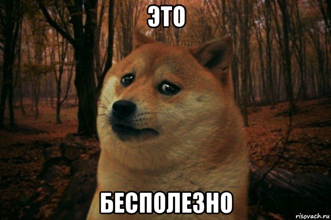 это бесполезно, Мем SAD DOGE