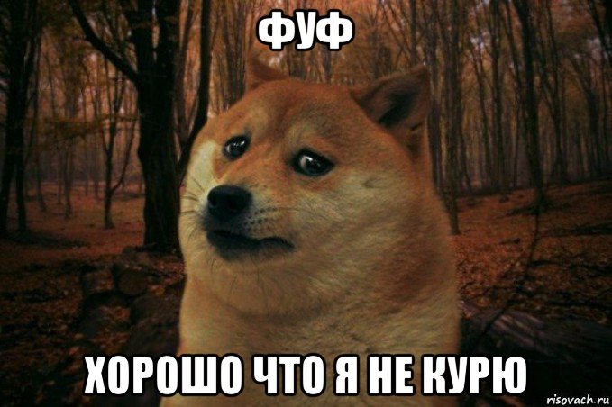 фуф хорошо что я не курю, Мем SAD DOGE