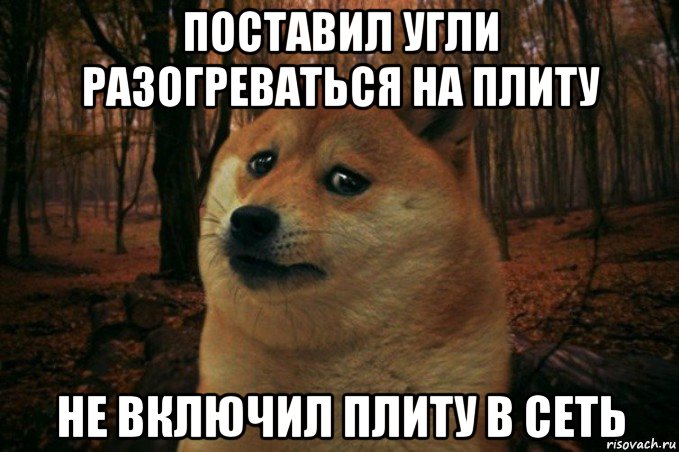 поставил угли разогреваться на плиту не включил плиту в сеть, Мем SAD DOGE