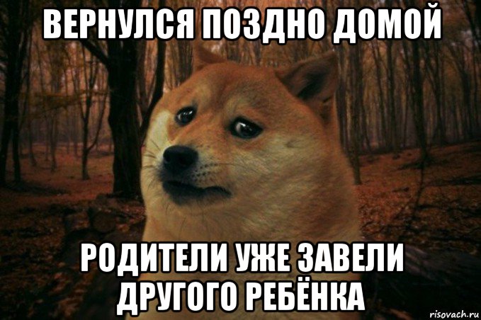 вернулся поздно домой родители уже завели другого ребёнка, Мем SAD DOGE