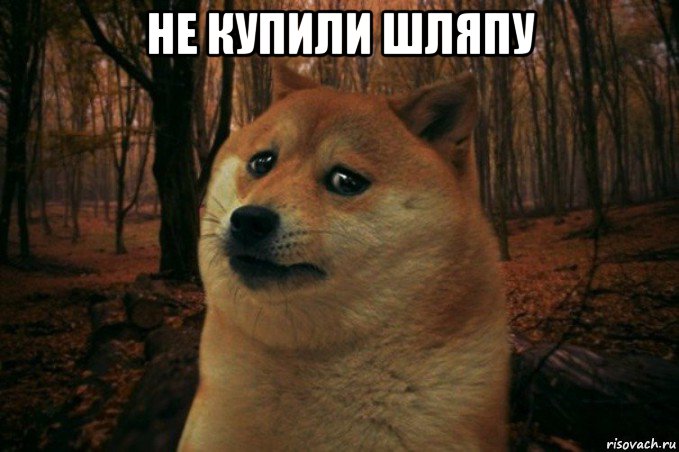 не купили шляпу , Мем SAD DOGE