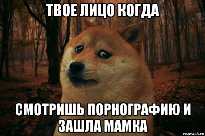 твое лицо когда смотришь порнографию и зашла мамка, Мем SAD DOGE