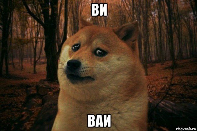 ви ваи, Мем SAD DOGE