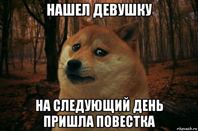 нашел девушку на следующий день пришла повестка, Мем SAD DOGE