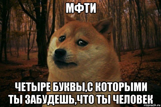 мфти четыре буквы,с которыми ты забудешь,что ты человек, Мем SAD DOGE